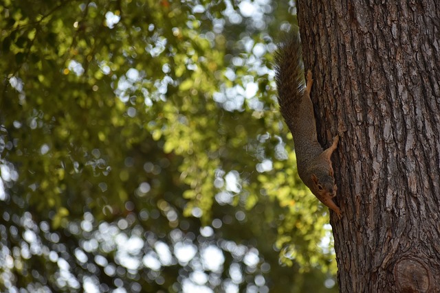 满与圆梦的 满与圆梦的