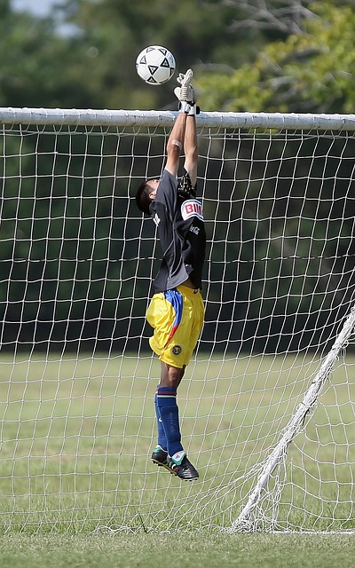 发展趋势及 发展趋势及