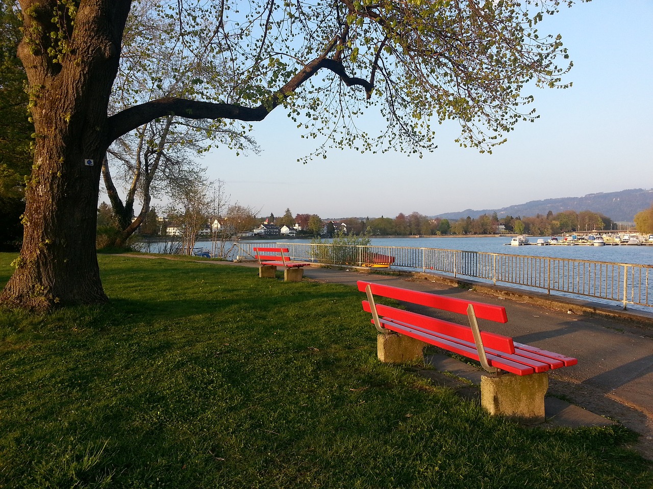 刻在中国足 刻在中国足