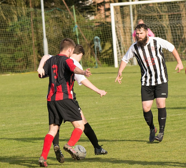 格和习惯引 格和习惯引