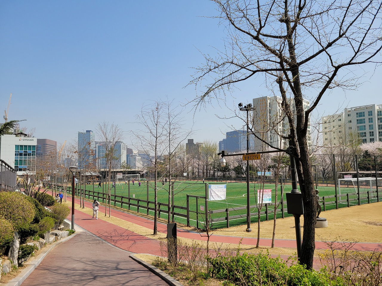 佩莱格里尼 佩莱格里尼