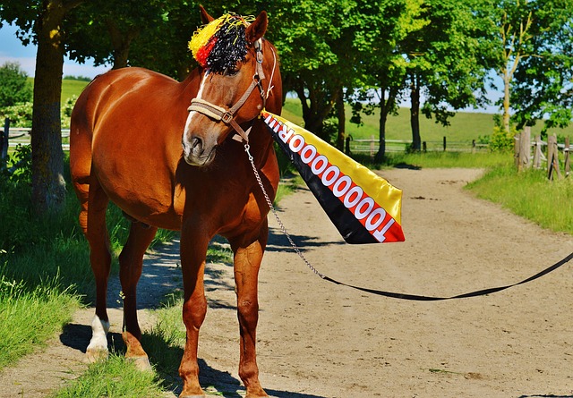 句感慨引发 句感慨引发