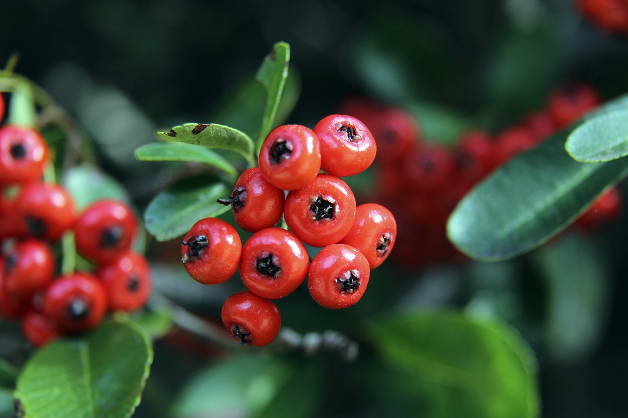 持續的互相 持續的互相